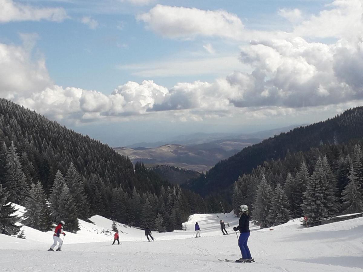 Milmari S30 Leilighet Kopaonik Eksteriør bilde